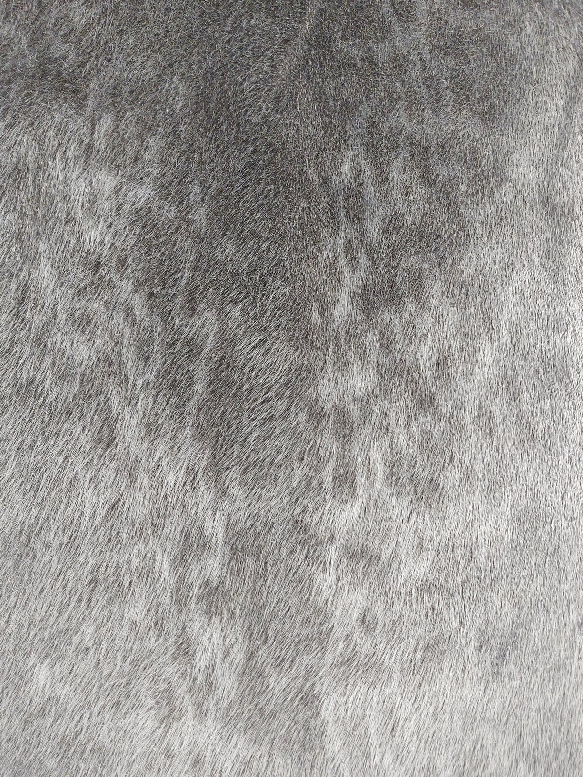 Fur skins and care - Seal skin