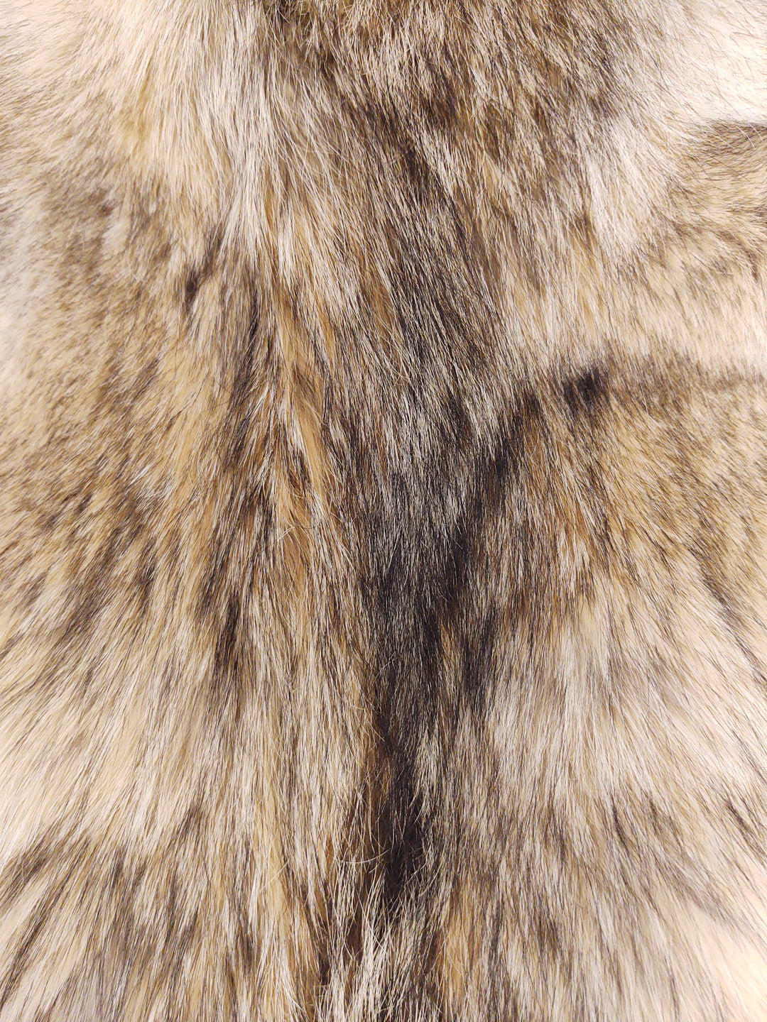 Coyote - Kledd pelsskinn - Pels | STAMPE PELS