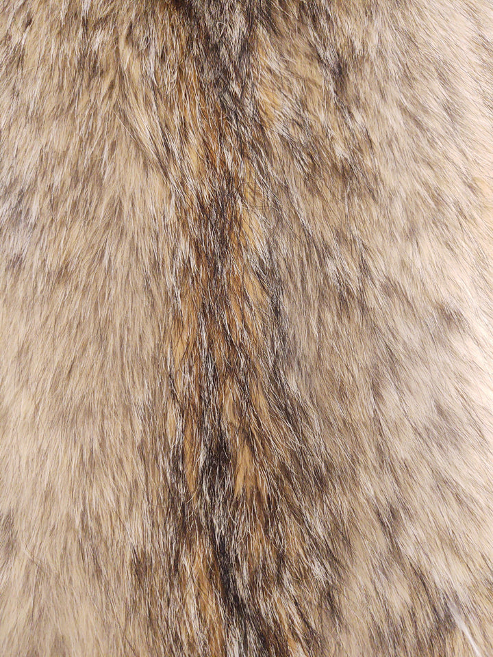 Coyote - Påklædt pelskind - Pels | STAMPE PELS