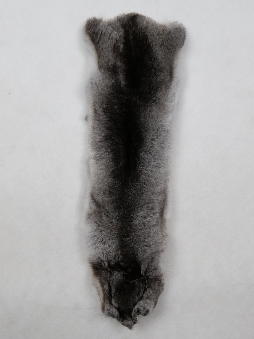 Chinchilla - Kledd Pelshud - Pels
