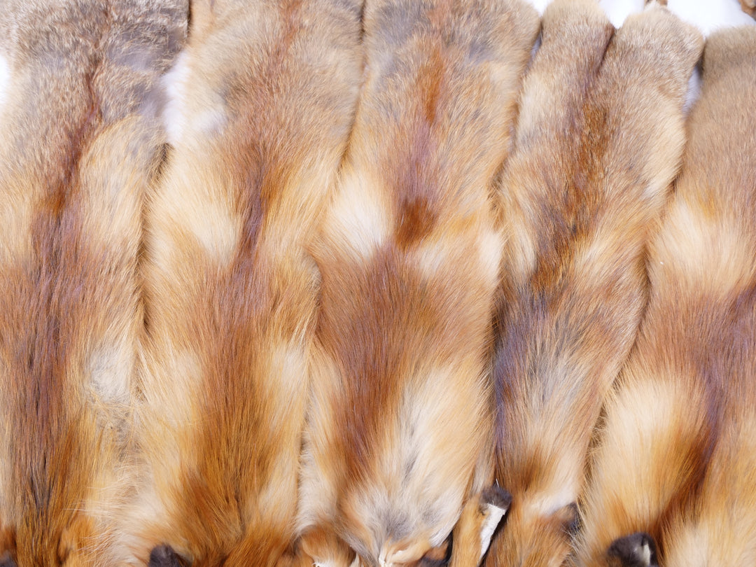 Red Fox - Gekleed bont Huid - Bont