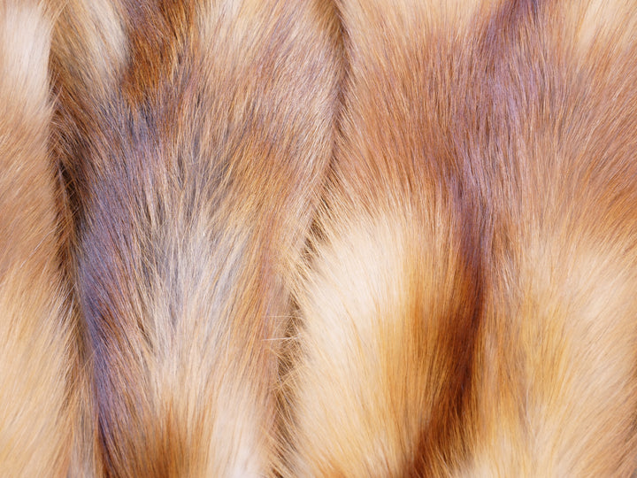 Red Fox - Gekleed bont Huid - Bont